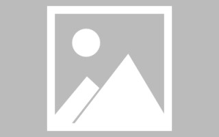眉山论文网站建设（网站建设的论文）